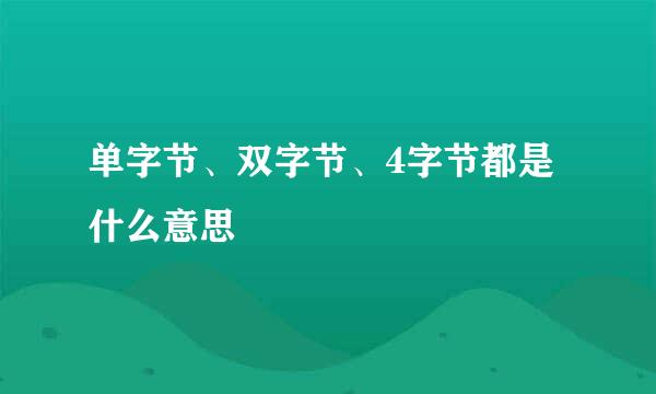 单字节、双字节、4字节都是什么意思