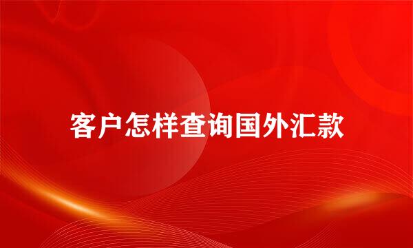 客户怎样查询国外汇款