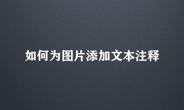 如何为图片添加文本注释