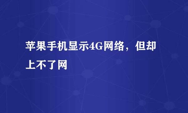 苹果手机显示4G网络，但却上不了网