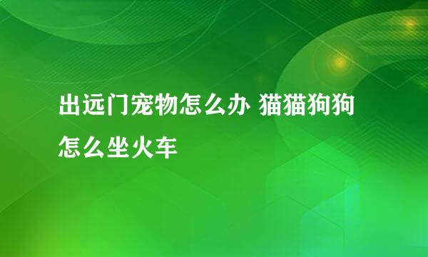 出远门宠物怎么办 猫猫狗狗怎么坐火车