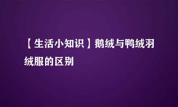 【生活小知识】鹅绒与鸭绒羽绒服的区别