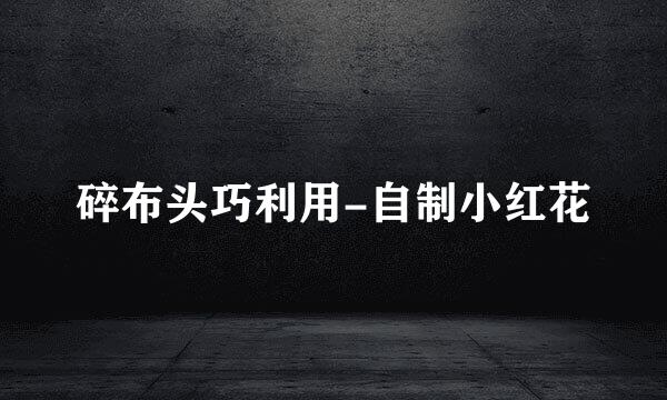 碎布头巧利用-自制小红花