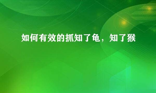 如何有效的抓知了龟，知了猴