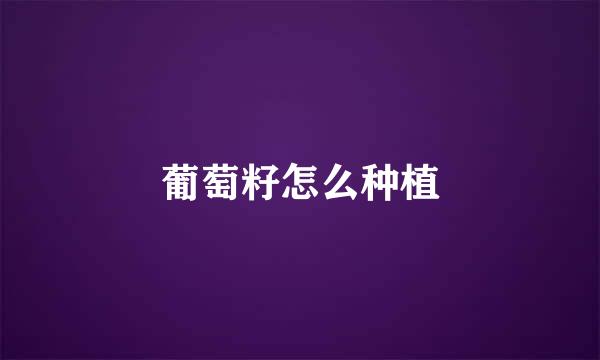 葡萄籽怎么种植