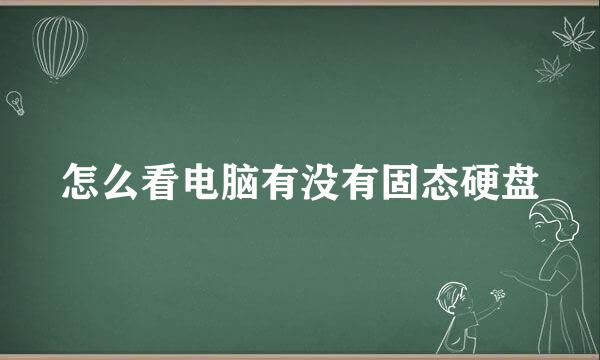怎么看电脑有没有固态硬盘