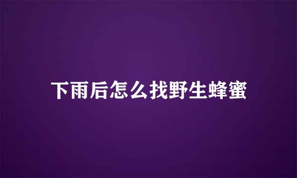 下雨后怎么找野生蜂蜜