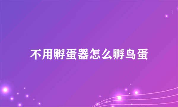 不用孵蛋器怎么孵鸟蛋
