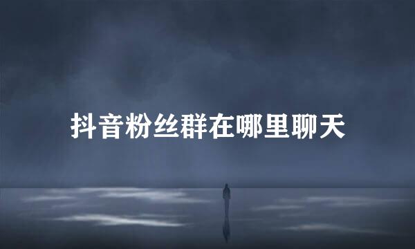 抖音粉丝群在哪里聊天