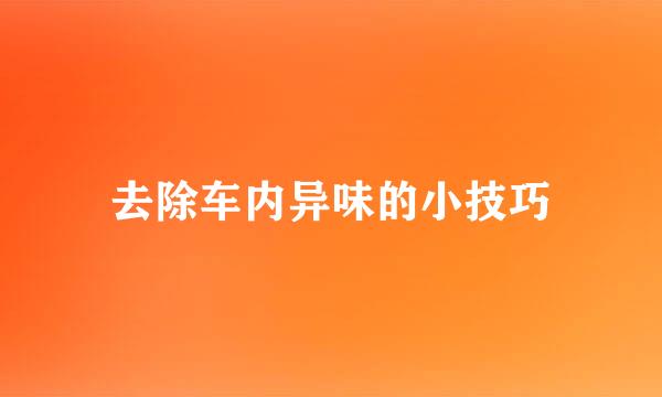 去除车内异味的小技巧