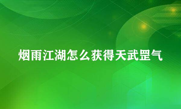 烟雨江湖怎么获得天武罡气
