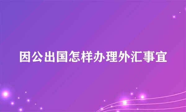 因公出国怎样办理外汇事宜