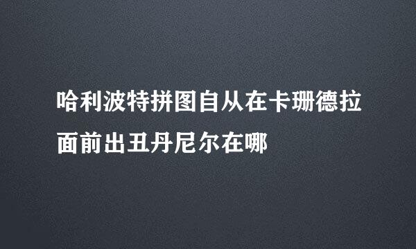 哈利波特拼图自从在卡珊德拉面前出丑丹尼尔在哪