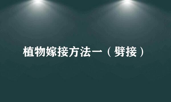 植物嫁接方法一（劈接）