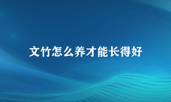 文竹怎么养才能长得好