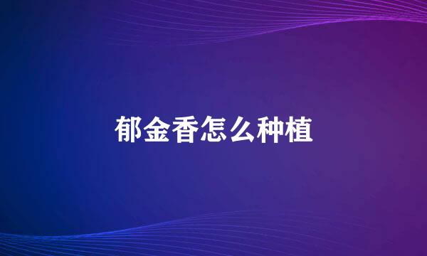 郁金香怎么种植