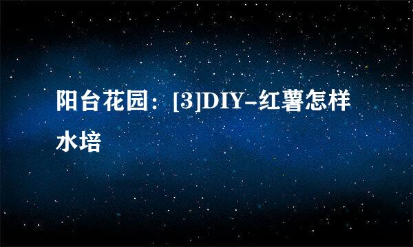 阳台花园：[3]DIY-红薯怎样水培