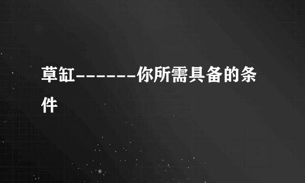 草缸------你所需具备的条件
