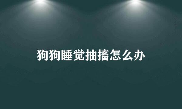 狗狗睡觉抽搐怎么办