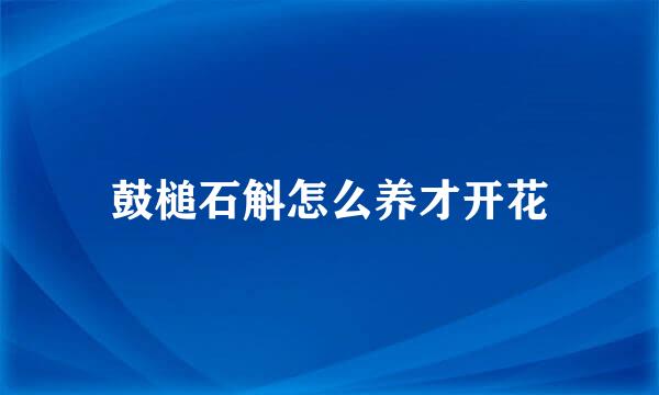 鼓槌石斛怎么养才开花