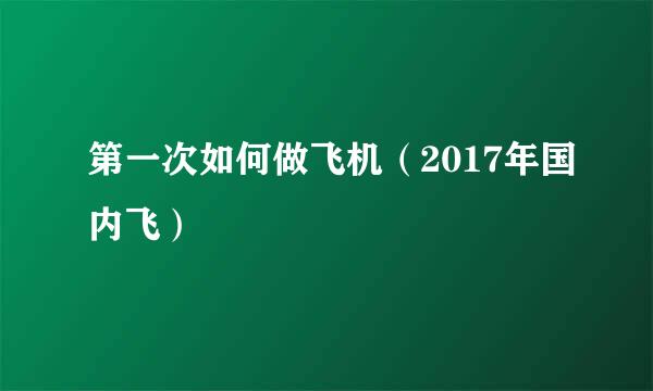 第一次如何做飞机（2017年国内飞）