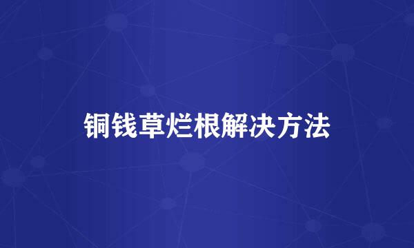 铜钱草烂根解决方法