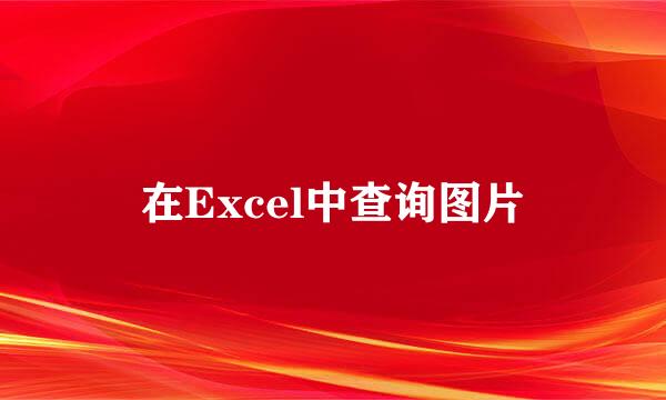 在Excel中查询图片