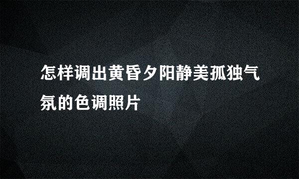 怎样调出黄昏夕阳静美孤独气氛的色调照片