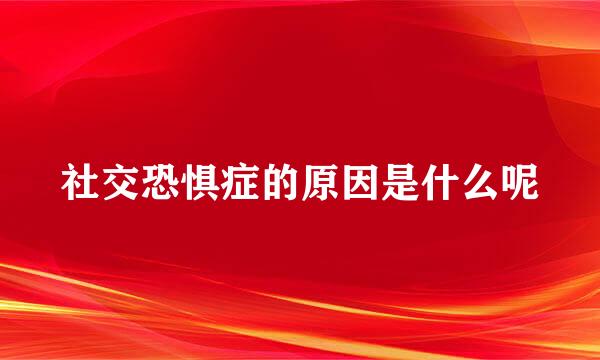 社交恐惧症的原因是什么呢