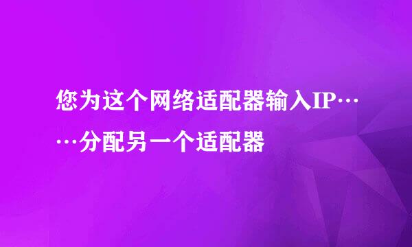 您为这个网络适配器输入IP……分配另一个适配器