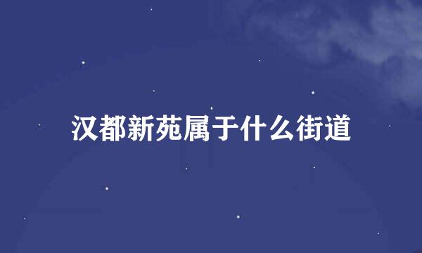 汉都新苑属于什么街道