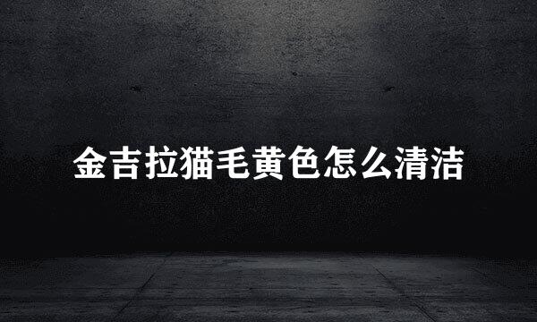 金吉拉猫毛黄色怎么清洁