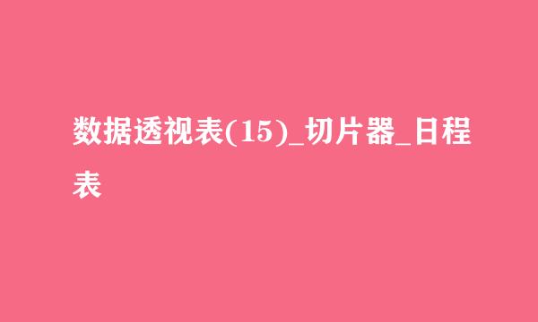 数据透视表(15)_切片器_日程表