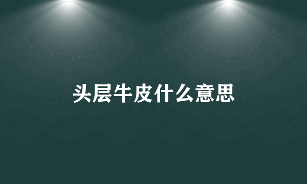 头层牛皮什么意思