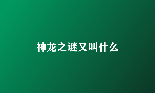 神龙之谜又叫什么