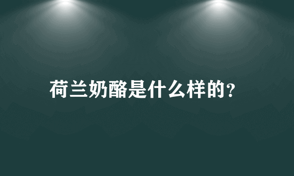 荷兰奶酪是什么样的？