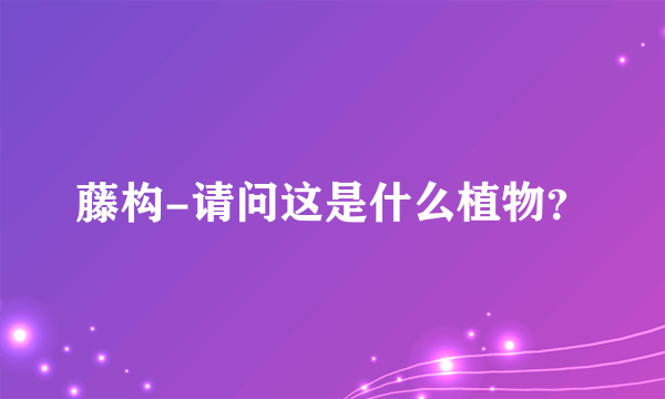 藤构-请问这是什么植物？
