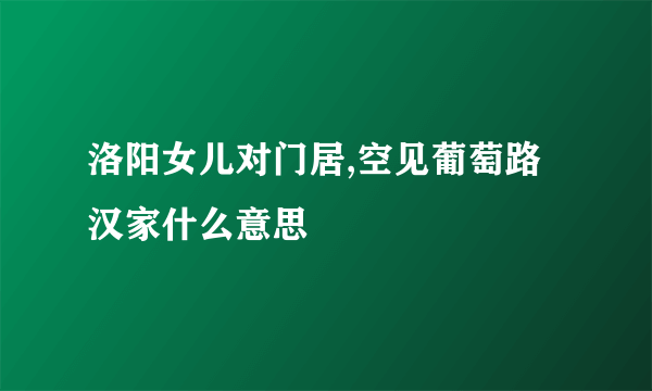 洛阳女儿对门居,空见葡萄路汉家什么意思