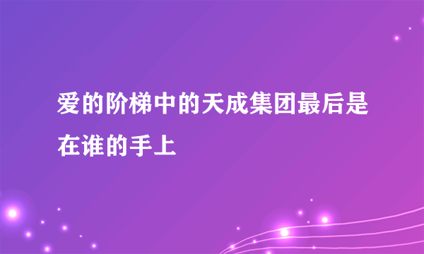 爱的阶梯中的天成集团最后是在谁的手上