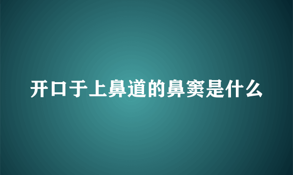开口于上鼻道的鼻窦是什么