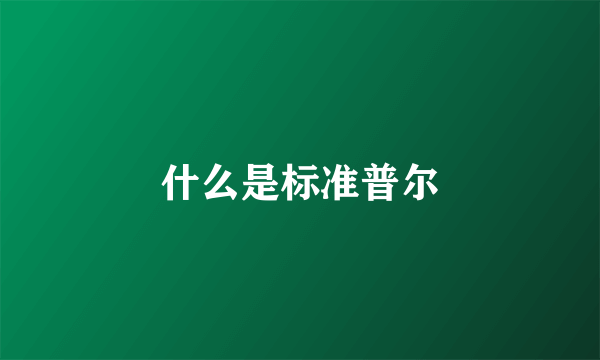 什么是标准普尔