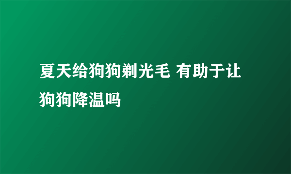 夏天给狗狗剃光毛 有助于让狗狗降温吗