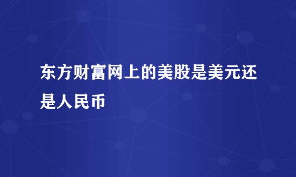 东方财富网上的美股是美元还是人民币