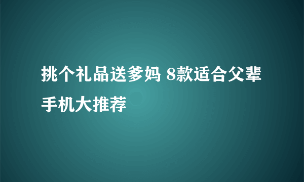 挑个礼品送爹妈 8款适合父辈手机大推荐
