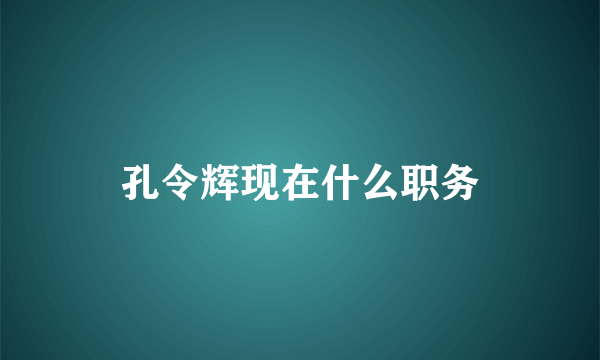 孔令辉现在什么职务