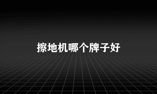 擦地机哪个牌子好