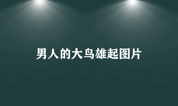 男人的大鸟雄起图片