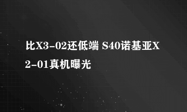 比X3-02还低端 S40诺基亚X2-01真机曝光