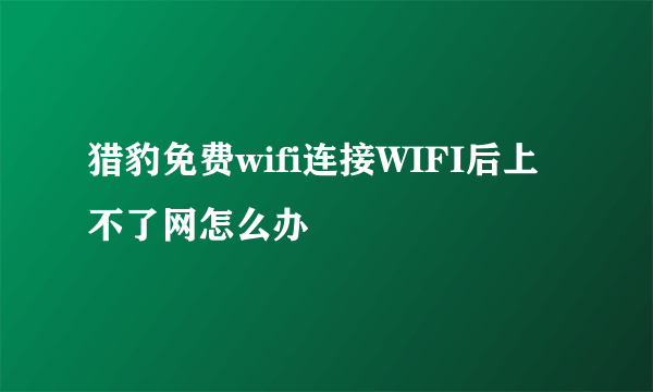 猎豹免费wifi连接WIFI后上不了网怎么办