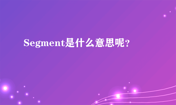 Segment是什么意思呢？